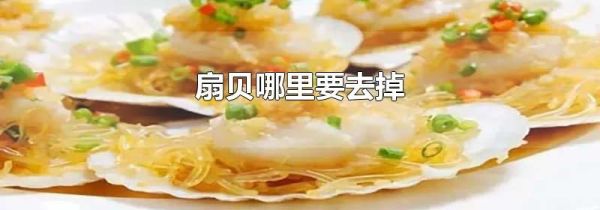 扇贝哪里要去掉