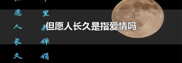 但愿人长久是指爱情吗