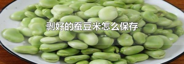 剥好的蚕豆米怎么保存