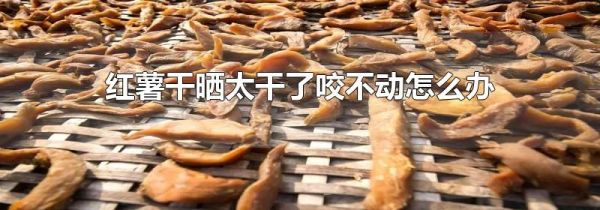 红薯干晒太干了咬不动怎么办