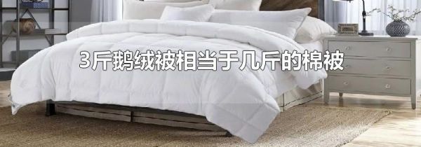 3斤鹅绒被相当于几斤的棉被