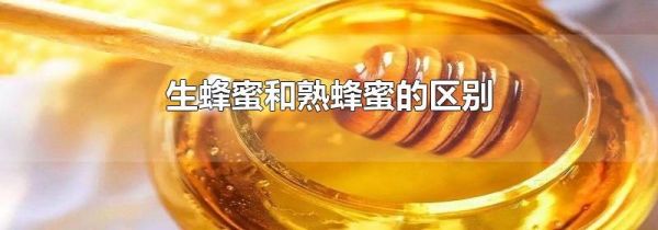 生蜂蜜和熟蜂蜜的区别