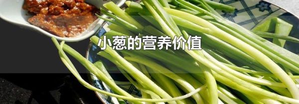 小葱的营养价值