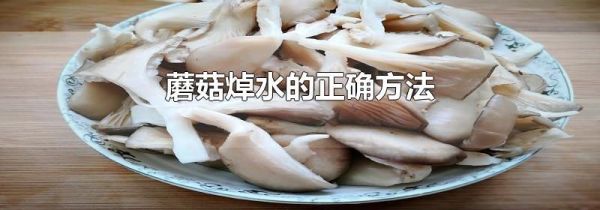 蘑菇焯水的正确方法