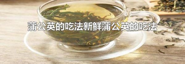 蒲公英的吃法新鲜蒲公英的吃法