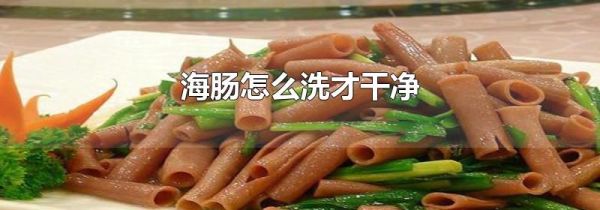 海肠怎么洗才干净
