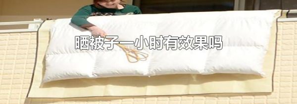 晒被子一小时有效果吗