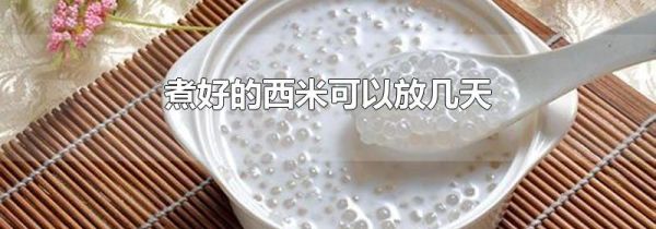 煮好的西米可以放几天