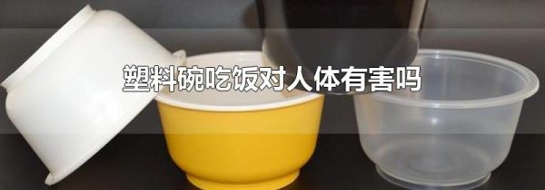 塑料碗吃饭对人体有害吗