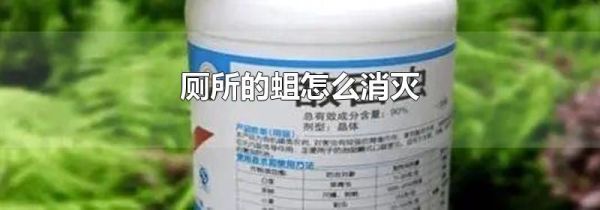 厕所的蛆怎么消灭