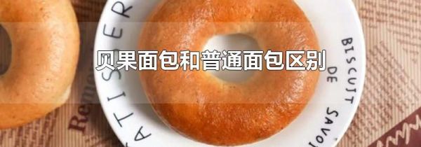 贝果面包和普通面包区别