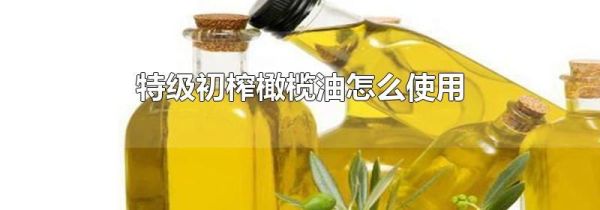 特级初榨橄榄油怎么使用