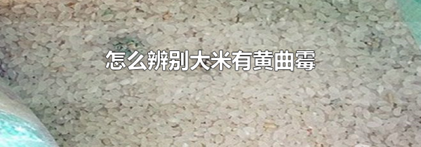 怎么辨别大米有黄曲霉