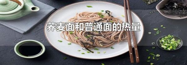 荞麦面和普通面的热量