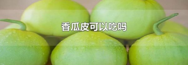 香瓜皮可以吃吗