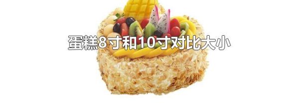 蛋糕8寸和10寸对比大小