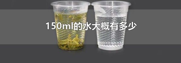 150ml的水大概有多少