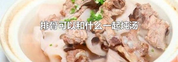 排骨可以和什么一起炖汤