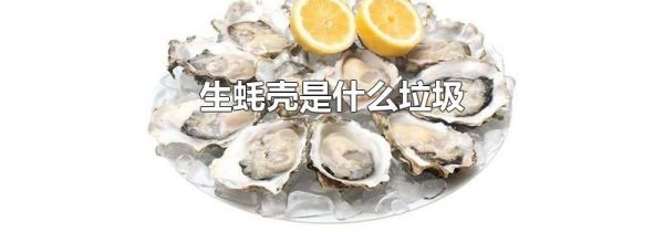 生蚝壳是什么垃圾