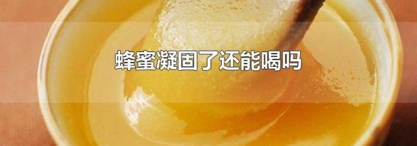 蜂蜜凝固了还能喝吗