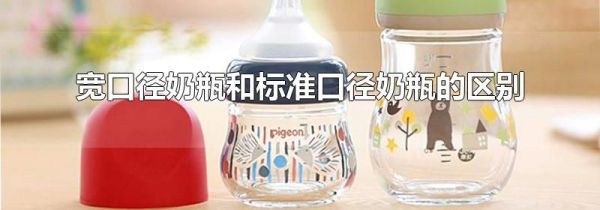宽口径奶瓶和标准口径奶瓶的区别