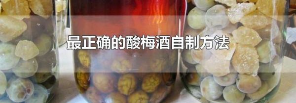 最正确的酸梅酒自制方法