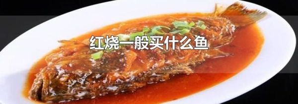 红烧一般买什么鱼