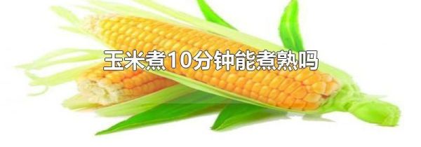 玉米煮10分钟能煮熟吗