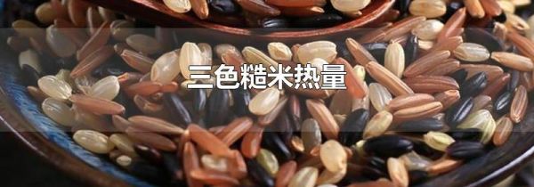 三色糙米热量