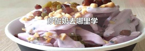 炒酸奶去哪里学