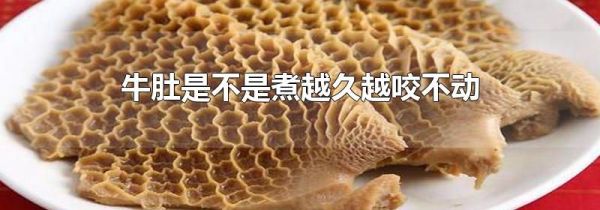 牛肚是不是煮越久越咬不动