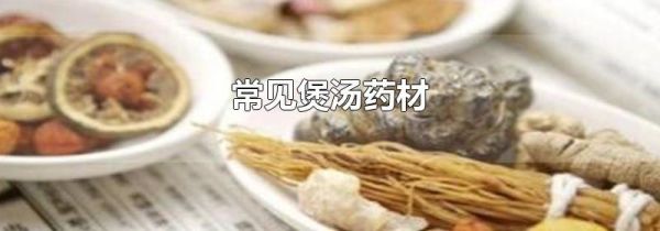 常见煲汤药材