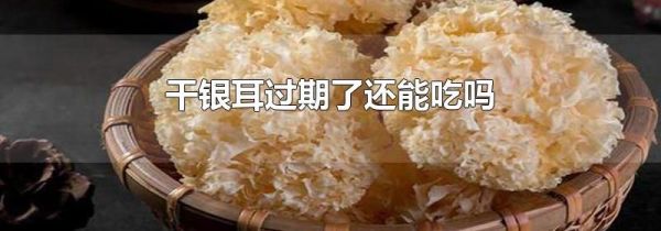 干银耳过期了还能吃吗