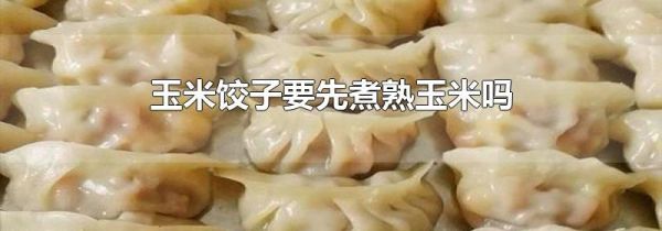 玉米饺子要先煮熟玉米吗