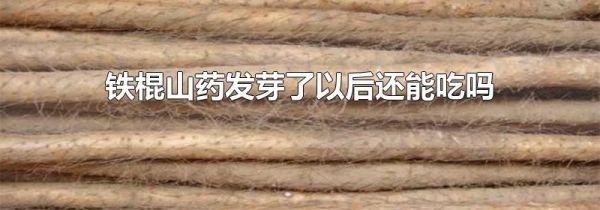铁棍山药发芽了以后还能吃吗
