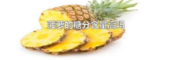 菠萝的糖分含量高吗