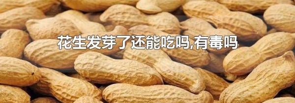 花生发芽了还能吃吗,有毒吗