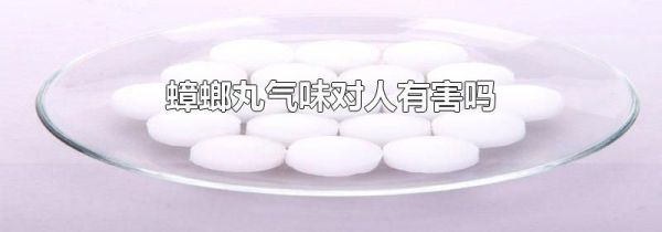 蟑螂丸气味对人有害吗
