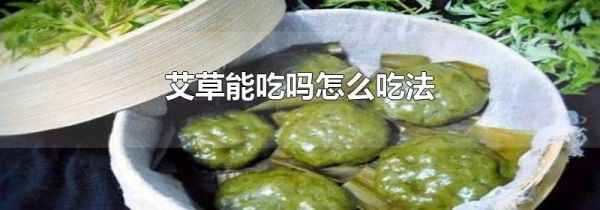 艾草能吃吗怎么吃法