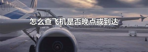 怎么查飞机是否晚点或到达