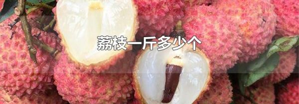 荔枝一斤多少个
