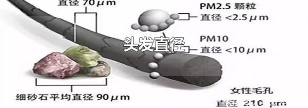 头发直径