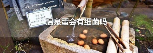 温泉蛋会有细菌吗