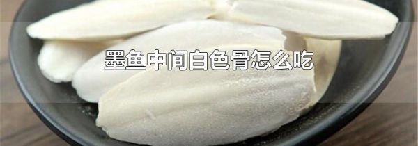 墨鱼中间白色骨怎么吃