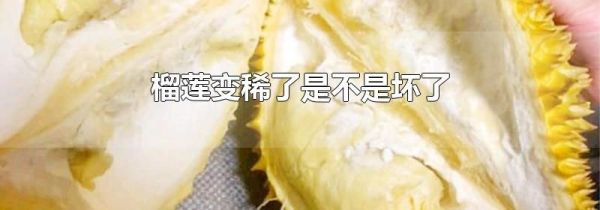 榴莲变稀了是不是坏了