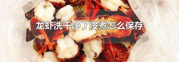 龙虾洗干净了没煮怎么保存