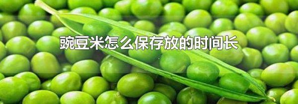 豌豆米怎么保存放的时间长