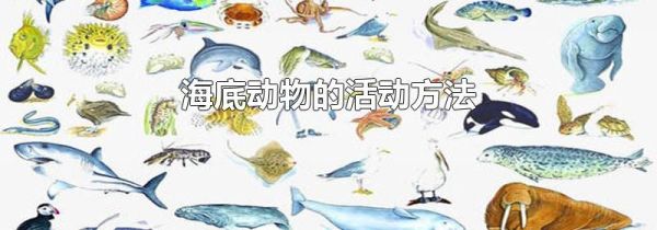 海底动物的活动方法