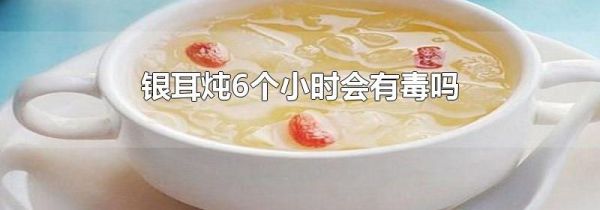 银耳炖6个小时会有毒吗