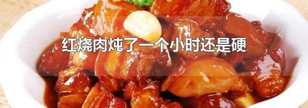 红烧肉炖了一个小时还是硬